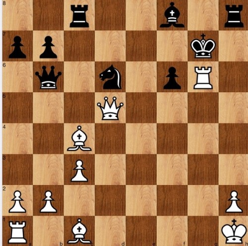 Position after 1 Rg6+!