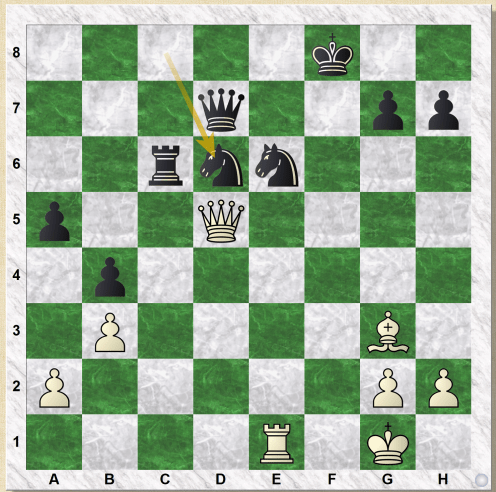 Aryan Sadzikowski.PNG