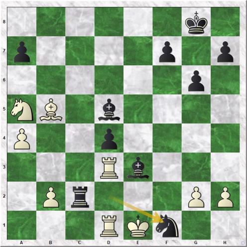 Larsen Bent - Schmidt Wlodzimierz (31...Nf1)