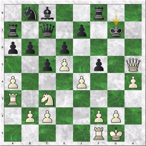 Maisuradze N - Punnett A (18...Kxg7)