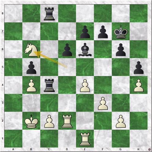 Anand Viswanathan - Kasparov Garry (30.Nb6  ).jpg