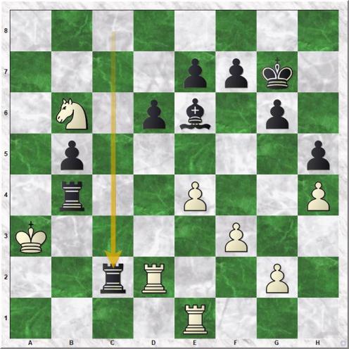 Anand Viswanathan - Kasparov Garry (31...Rxc2)