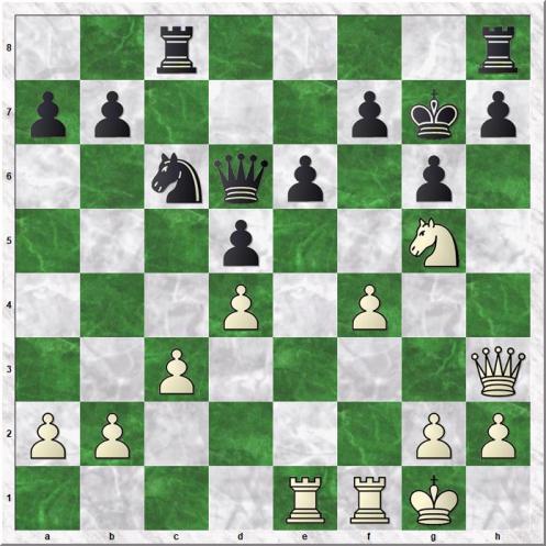 Safarli Eltaj - Rodshtein Maxim (21...Rh8)