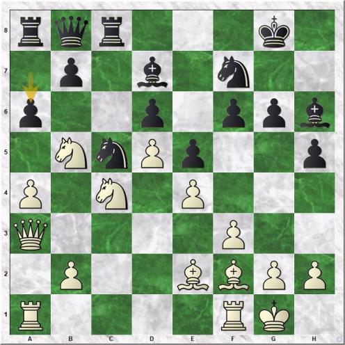 Gelfand Boris - Shirov Alexei (20...a6 )