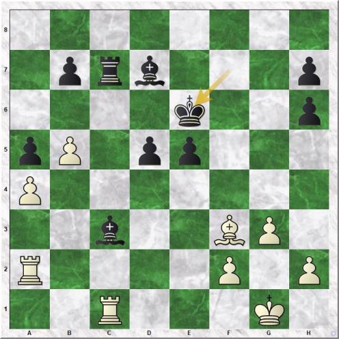 Jones Gawain C B - Martirosyan Haik M. (25...Ke6)