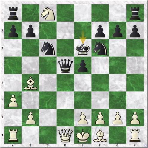 Shirov Alexei - Westerberg Jonathan (13...Ke6)