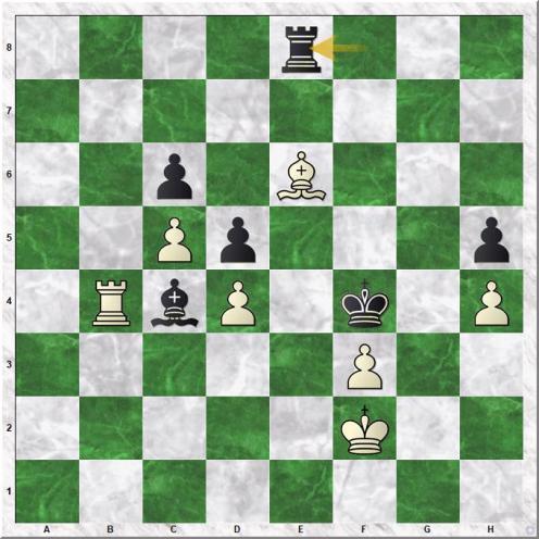 Maiorov Nikita - Atalik Suat (47...Re8 )