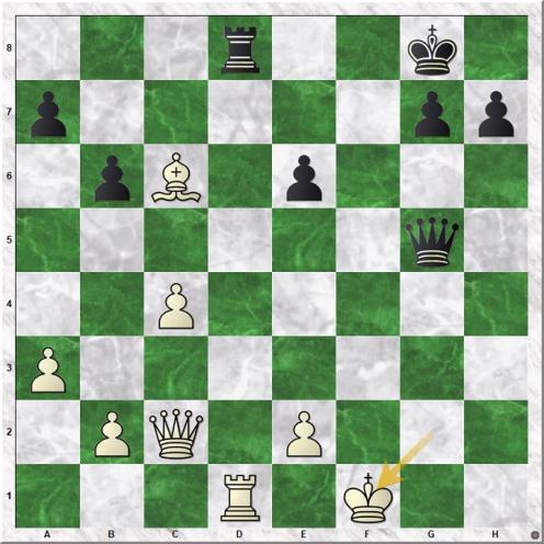 Dao Thien Hai - Ganguly Surya Shekhar (27.Kf1)