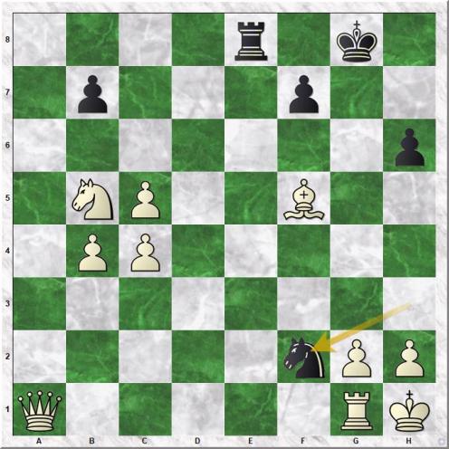 Shaw Peter - Tozer Philip (31...Nf2#)