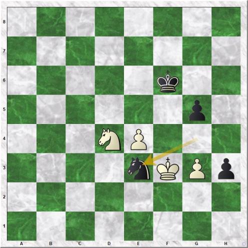 Wagner Dennis - Berger Steve (56...Ne3)