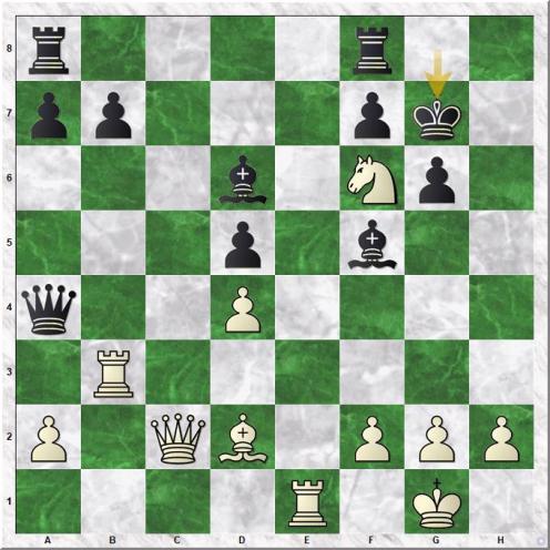 Paravyan David - Golubov Saveliy (21...Kg7)