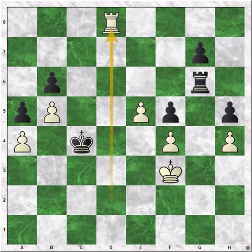 Ding Liren - Wang Hao (45.Rxd8)